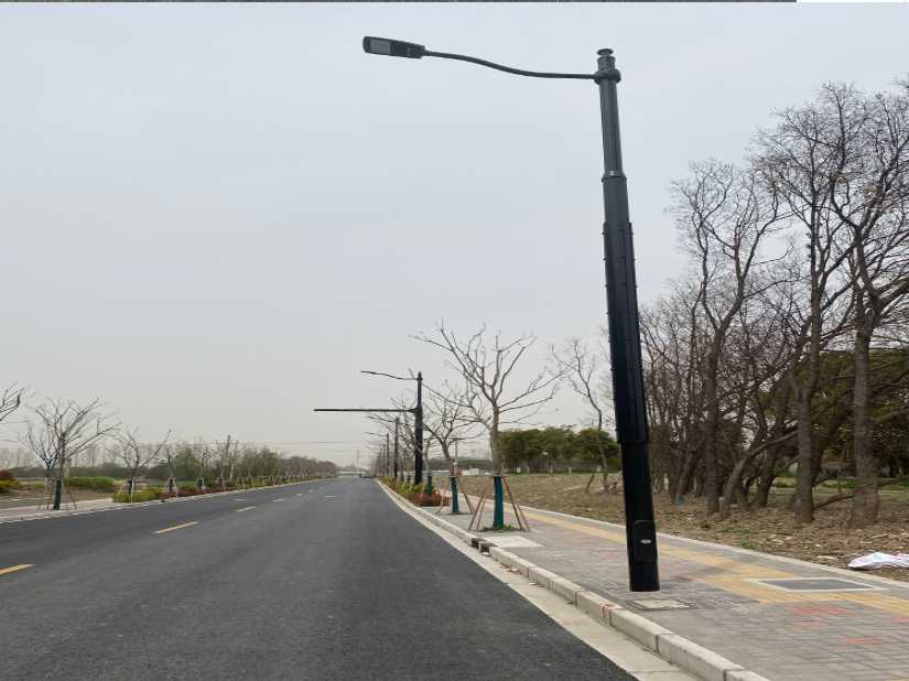 寻甸回族彝族自治县上海综合杆 太阳能路灯工程